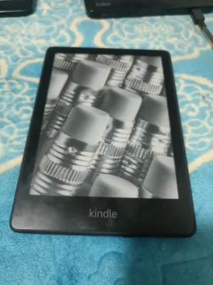 e-reader kindle or kobo