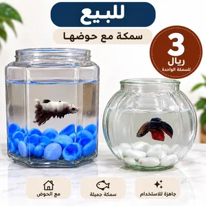 سمكة زينة جميلة مع حوض زجاجي زجاجي جاهزة للاستخدام