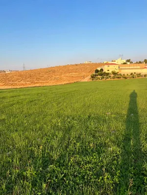 فرصة مميزة أرض 500م منيفة شرق جرش داخل التنظيم قوشان مستقل