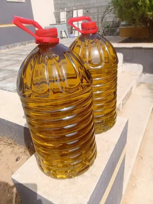 زيت زيتون 2026
