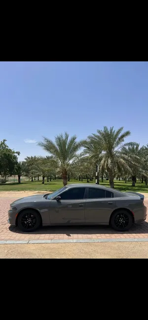 Used Dodge Charger in Al Ain