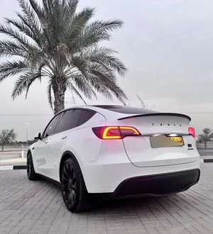 Tesla Model Y Performance 2022
