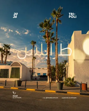 تدور في مصمم سوشيال ميديا؟
