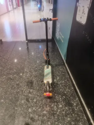Electric scooter