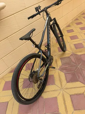 Sunpeed bike