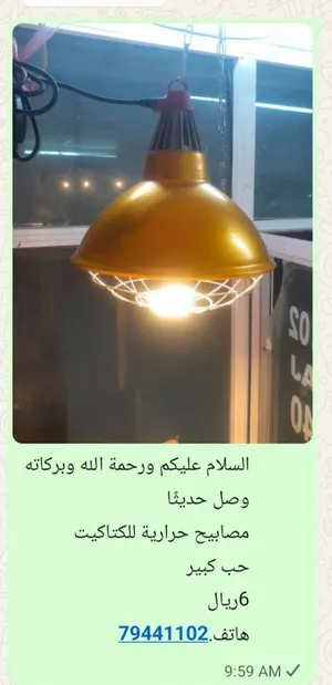 chicken light hit