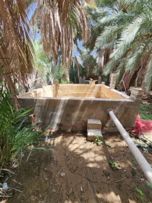 فرصه استثماريه مزرعة للبيع في الانصب