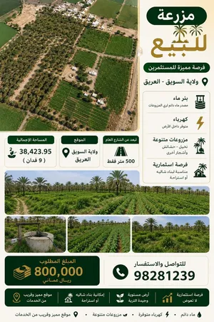 ارض زراعية للبيع بولاية السريق (العريق)