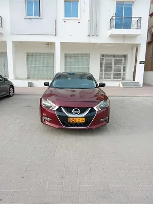 نسيان صالون مكسيما بحاله جيده