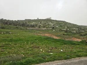 Residential Land for Sale in Nablus Other