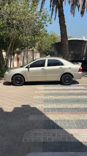 Used Toyota Corolla in Muscat