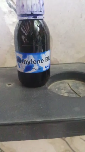 علاج امراض اسماك الزينه