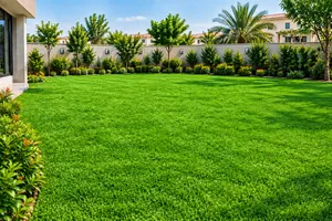 Premium Artificial Grass Flooring – Perfect for Outdoor Majlis & Garden Areas