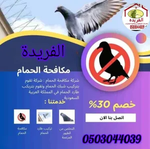 شركة مكافحة الحشرات
