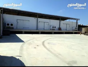 تلاجات للايجار6×10×4ارتفاع تجميد.تبريد