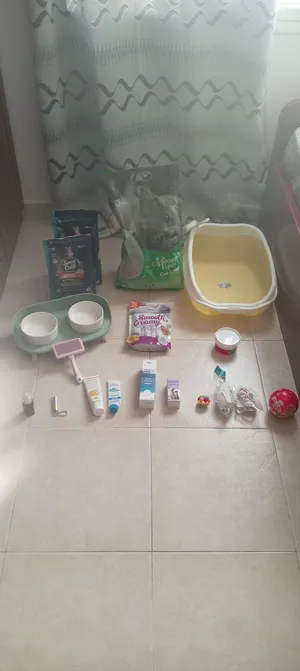 جميع مستلزمات قطط  All Cat Supplies