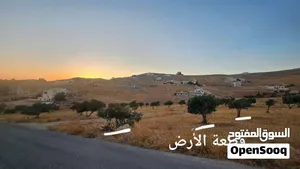 استثمار مضمون في بيرين - ارض جميلة قريبة من عمان