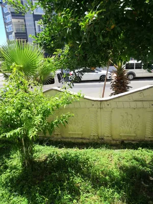 80 m2 2 Bedrooms Apartments for Sale in Antalya Antalya