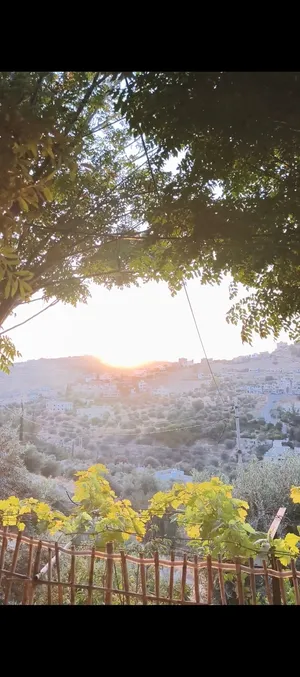 مزرعه للبيع في ابو السوس