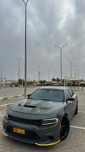 Used Dodge Charger in Dhofar