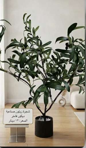 شجره  زيتون صناعيه
