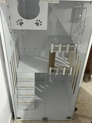 New cat home