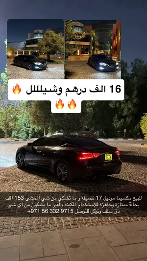 مكسيما موديل 17