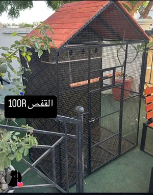 قفص طيوور غير مستخدم