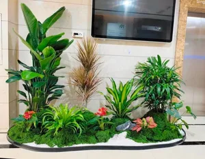 Fresh indoor & outdoor garden plants available in Dubai