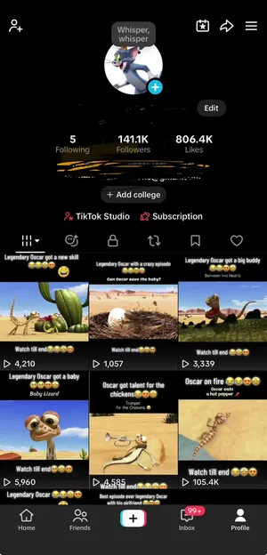 USA TikTok account cartoon حساب تيك توك أمريكي خاصيه الربح من الفيديوهات متاحه محتوي كرتون فيه عرب