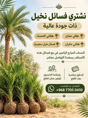نشتري فسائل نخيل