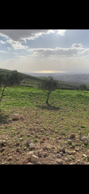 قطعة أرض 4 دونم و 254م للبيع - عراق الأمير من جهة بدر الجديده - مطله على البحر الميت و القدس الشريف
