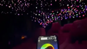 نجوم الروز رايس