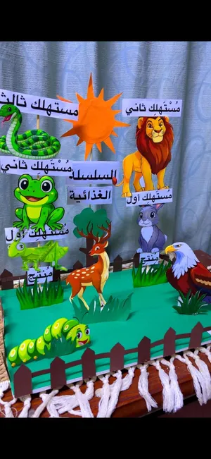 مشاريع مدرسية/وسائل تعليمية / مطويات /