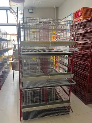 بطارية دجاج