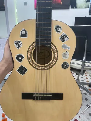 جيتار من شركه فندر مع شنطه fender guitar with bag