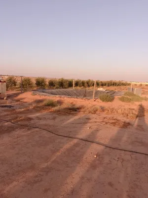 مزرعه خمس دنمات قريبه من الخدمات