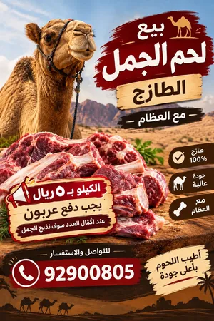 لحوم جمال طازجه