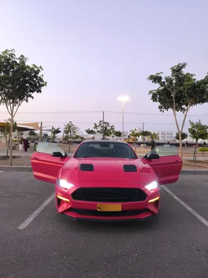 Used Ford Mustang in Muscat
