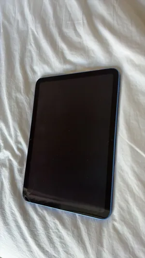 Ipad 10th blue