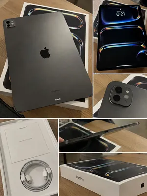 Apple iPad Pro 13 256 GB in Muscat