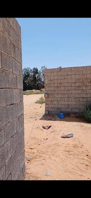 هكتار وربع للبيع