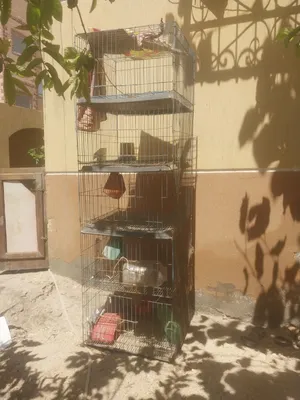 قفص حمام حديد كبير خمس ادوار