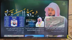 بلازما الحافض