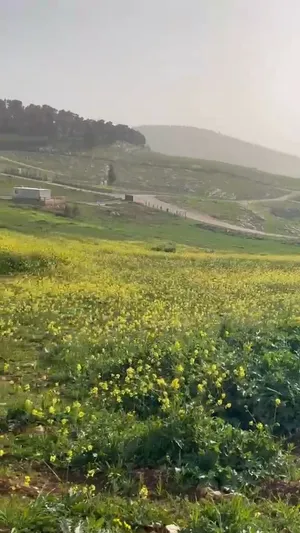 ارض للبيع جرش ام قنطره بجانب سكان المهندسين