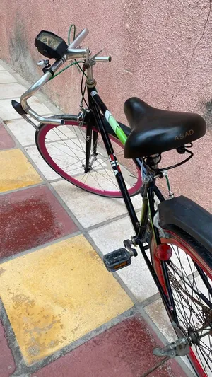 باسكل سباق