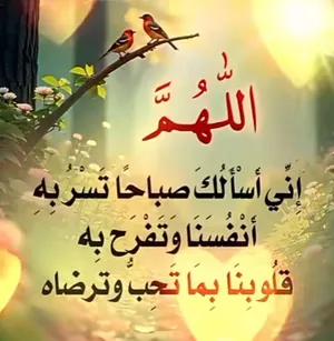 غرفة ستوديو للايجار