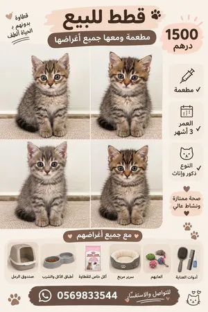 عمرهم ثلاثة شهر