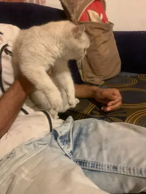 بسه العمر 6شهور
