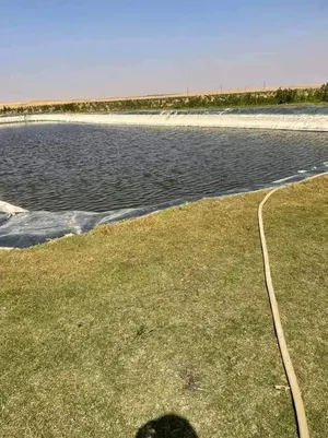 Farm Land for Sale in Fayoum Other